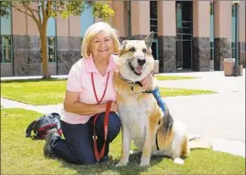  ?? Kevin Chang Daily Pilot ?? BAXTER, a 10-year-old service dog, poses with his owner, Cheryl Timmons, outside the Lamoreaux Justice Center in Orange. “Baxter runs this place,” she said.