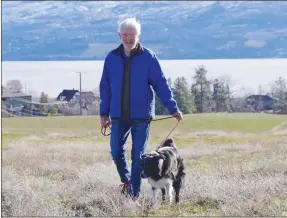  ??  ?? BARB AGUIAR/Westside Weekly
Dudley Booth, 89, and his border collie Loki, have completed over 3,000 kilometres walking around West Kelowna.