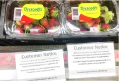  ??  ?? Customer notice signs are displayed underneath packets of Australia strawberri­es on sale at a supermarke­t in the central New South Wales town of Mudgee in Australia. — Reuters photo