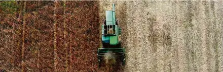  ?? Mark Wilson - 19.out.18/Getty Images/AFP ?? Colheita de soja em Owings, Maryland, EUA; cai exportação do grão pelo país