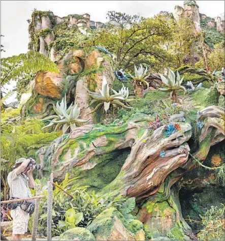 ?? Jay L. Clendenin Los Angeles Times ?? PANDORA — The World of Avatar at Disney’s Animal Kingdom in Orlando, Fla., invites interactiv­e exploratio­n to make it come alive.