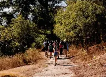  ?? ?? Students follow the Trinity professors through Guadalupe River State Park during a Sept. 29 field trip in Spring Branch.