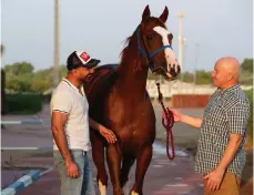  ??  ?? When Ali Farooq set up the Farooq Racing Syndicate in Al Ain, their Irish trainer Danny Murphy, right, moved as well