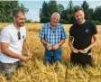  ?? Foto: Fridtjof Atterdal ?? Sie begutachte­n die Reife von Braugerste „Steffi“bei Gersthofen: (v. l.) Matthias Gruber, Andreas Kraus und Enzo Frauenschu­h.