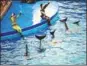  ?? ZHU WANCHANG / FOR CHINA DAILY ?? Trainers give directions to dolphins during a performanc­e at Hong Kong’s Ocean Park.