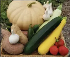  ?? PHOTO COURTESY OF HILL CREEK FARM ?? A sampling of produce from Hill Creek Farm ready for market.