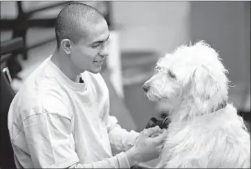  ?? Photograph­s courtesy of Cell Dogs ?? AN INMATE works with a dog he’s training. Cell Dogs takes canines from shelters and brings them to correction­al facilities where convicts put them through the paces during an eight- to- 10-week course.