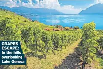  ?? ?? GRAPES ESCAPE: In the hills overlookin­g Lake Geneva