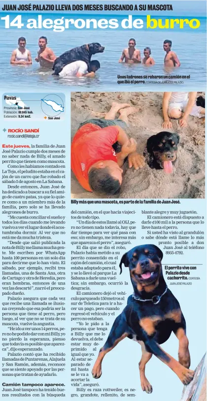  ?? CORTESÍA DE JUAN JOSÉ PALAZIO. CORTESÍA JUAN JOSÉ PALAZIO ?? Unos ladrones se robaron un camión en el que iba el perro. Billy más que una mascota, es parte de la familia de Juan José. El perrito vive con Palazio desde cachorrito.