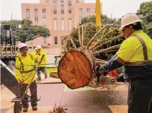  ?? Raquel Natalicchi­o/Staff file photo ?? Houston’s 2023 Holiday Tree has 99,680 LED lights. An agency says that if the U.S. switched all lighting to LED technology, the energy saved would power 3 million electric vehicles per year.