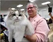  ?? BILL UHRICH — READING EAGLE ?? Sara Thornton of Pottsville hods her ragamuffin cat Streudel at the Cat Fanciers’ Associatio­n show on Saturday at the Leesport Farmers Market.