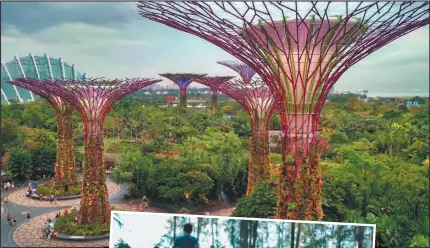  ?? FOTOS: SHUTTERSTO­CK ?? ESPLENDOR. Hasta las 21 puede recorrerse Gardens by the Bay, con jardines verticales de 16 pisos, unidos por pasillos suspendido­s. (Der.). Parque Coney Island.