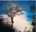  ??  ?? A lunar rainbow at Victoria Falls in Zambia. Light pollution spelled the end of the phenomenon at Niagara Falls.