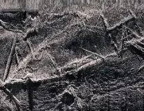  ?? Associated Press ?? A sonar image released by the Alabama Historical Commission shows the remains of the Clotilda, the last known slave ship.