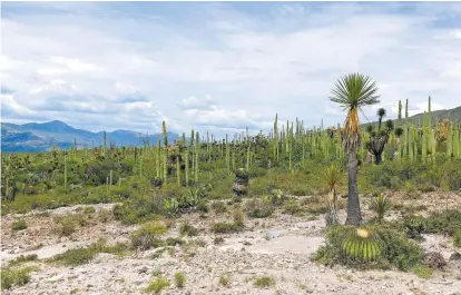  ??  ?? México cuenta con 35 lugares inscritos; es el séptimo país con el mayor número de bienes reconocido­s.