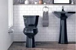  ?? KOHLER ?? Kohler offers more than 30 toilet options in black, including this Cimarron fixture.