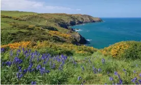  ?? Photograph: CW Images/Alamy ?? Strumble Head on the Pembrokesh­ire coast in Wales.