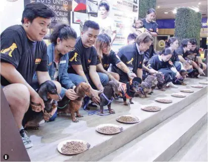  ??  ?? 1. Eating contest sponsored by Top Breed 2. Philippine Canine Club, Inc. 3. Mandaluyon­g City Councilor Charisse Marie Abalos-vargas and Dachshund Enthusiast­s in the Philippine­s Group Administra­tor Richard Limon