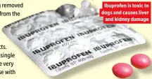  ?? ?? Ibuprofen is toxic to dogs and causes liver and kidney damage