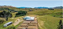  ??  ?? Improvemen­ts on Pukenui include a five-stand woolshed and covered yards, cattle yards with satellite sheep yards around the property, a three-bay implement shed and an all-weather airstrip with a 60-tonne fertiliser bin.