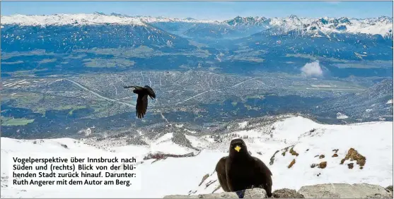  ??  ?? Vogelpersp­ektive über Innsbruck nach Süden und ( rechts) Blick von der blühenden Stadt zurück hinauf. Darunter: Ruth Angerer mit dem Autor am Berg.