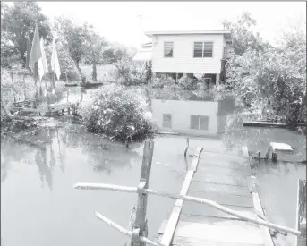  ??  ?? Another elderly resident of Canal Number Two inundated.