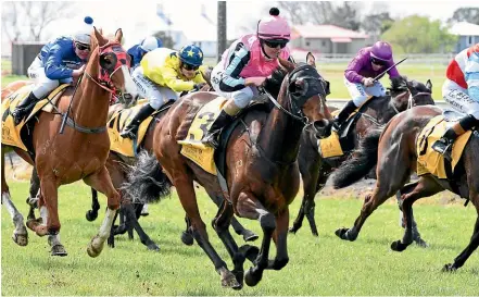  ?? RACE IMAGES NI ?? Akerra and rider Hazel Schofer score at New Plymouth yesterday.