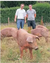  ?? FOTOS: HEINRICHS/ESSER, CHRISTOPH REICHWEIN (2) ?? Michael Heinrichs (r.) und Max Esser kooperiere­n in Kamp-Lintfort bei der Schweinezu­cht.