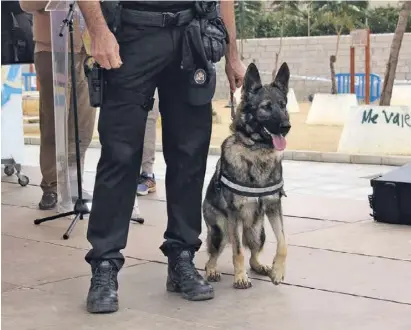  ?? Foto: Archiv ?? Ein Kollege von Azorg, der ebenfalls im Trainingsz­entrum in Vera ausgebilde­t wurde.