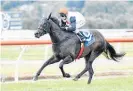  ?? Photo / Race Images ?? Marzemino runs at Pukekohe tomorrow.