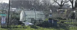  ?? Picture: Chris Davey FM4669130 ?? Victoria Park allotments