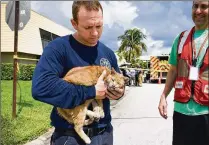  ?? MELANIE BELL / THE PALM BEACH POST ?? Palm Beach Gardens Fire Rescue driver/engineer Dave Steele found the fire victim’s cat, Smitty, hiding in the house. “She is pretty dirty and smoky,” Steele said.