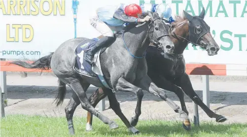  ?? Picture / Trish Dunell ?? Spanish Whisper (inner) downs She’s A Thief in the Matamata Breeders Stakes on Saturday.