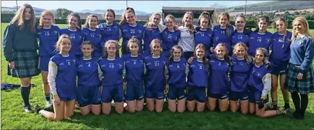  ??  ?? The Coláiste Bhríde Carnew team who defeated St Kevin’s to qualify for the Senior ‘A’ final. They play Blessingto­n in the final.