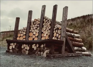  ?? ?? The bench dedicated to the memory of Frightened Rabbit frontman Scott Hutchison