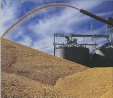  ?? AP PHOTO/SETH PERLMAN ?? In this 2015 file, photo, Central Illinois farmers deposit harvested corn on the ground outside a full grain elevator in Virginia, Ill.