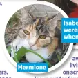  ??  ?? Hermione Isabel and Leo weren’t even born when she went