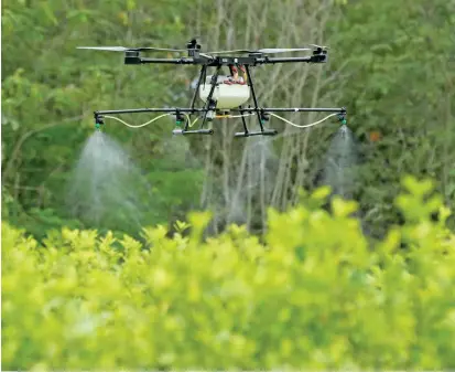  ?? FOTO AGENCIA EFE ?? La iniciativa comenzó con dos drones, con capacidad para fumigar hasta tres hectáreas de cultivos ilícitos en un día, cada uno, según los estimados de la Gobernació­n de Antioquia.