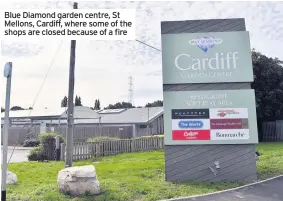 city garden centre hit by fire pressreader