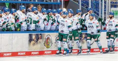  ?? Foto: Schindler ?? Reichlich Grund zum Jubeln hatten die Augsburger Panther am Wochenende. Die Mannschaft gewann die Testspiele gegen Bietigheim und Straubing.