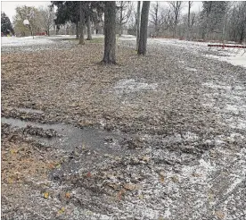  ?? CLIFFORD SKARSTEDT EXAMINER ?? A view of damage caused by the recent Shimano Canadian Cyclocross Championsh­ips this past weekend at Nicholls Oval on Wednesday. The event drew more than 500 cyclists.