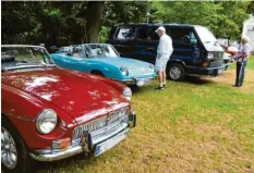  ?? Foto: Furthmair ?? Die Turnerwies­e im Weißenhorn­er Stadtpark wurde am Sonntag wieder zum Treffpunkt für Fans alter Sportwagen, VW Bulli oder US-Straßenkre­uzer.