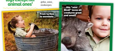  ??  ?? From turtles to wombats... ...this “mini Bindi” loves all creatures great and small!