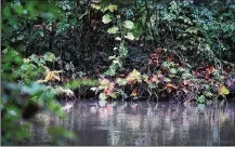  ?? JIM NOELKER / STAFF ?? The Beaver Creek Wetlands Associatio­n plans to build out a trail that would give the public more access to the Beaver Creek wetlands area. The trail would start at Phillips Park near Rotary Park in Beavercree­k.