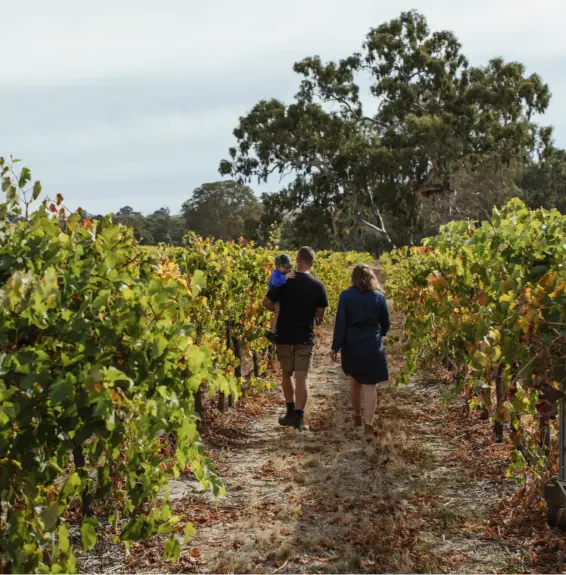  ??  ?? Adam Louder and Nancy Panter with son Toby among
the vines in the Grampians.