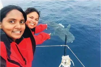  ?? PHOTOGRAPH: Indian Navy ?? Excited crew spot a whale shark near the vessel