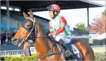  ??  ?? Apprentice Ashvin Mudhoo brings Hartley back to the winner’s stall after their win in the open sprint at last Saturday’s Hawke’s Bay meeting.
Hastings race dates 2021/2022