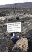  ?? Foto: A. García ?? Über 30.000 Hektar verbrannte­n bei Cortes de Pallás.