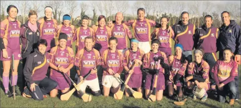  ??  ?? The All Ireland 2012 Wexford camogie champions, with some guest players including team manager JJ Doyle.
