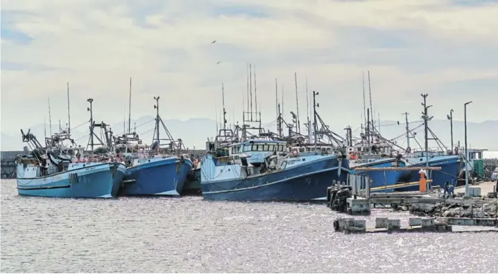  ?? / 123RF/DPREEZG ?? A view of the harbour in Gansbaai, Western Cape, with trawlers at anchor. The government’s allocation of fishing rights is to ensure sustainabl­e harvesting of the country’s marine resources, while also addressing historical inequaliti­es by allowing new entrants to the sector